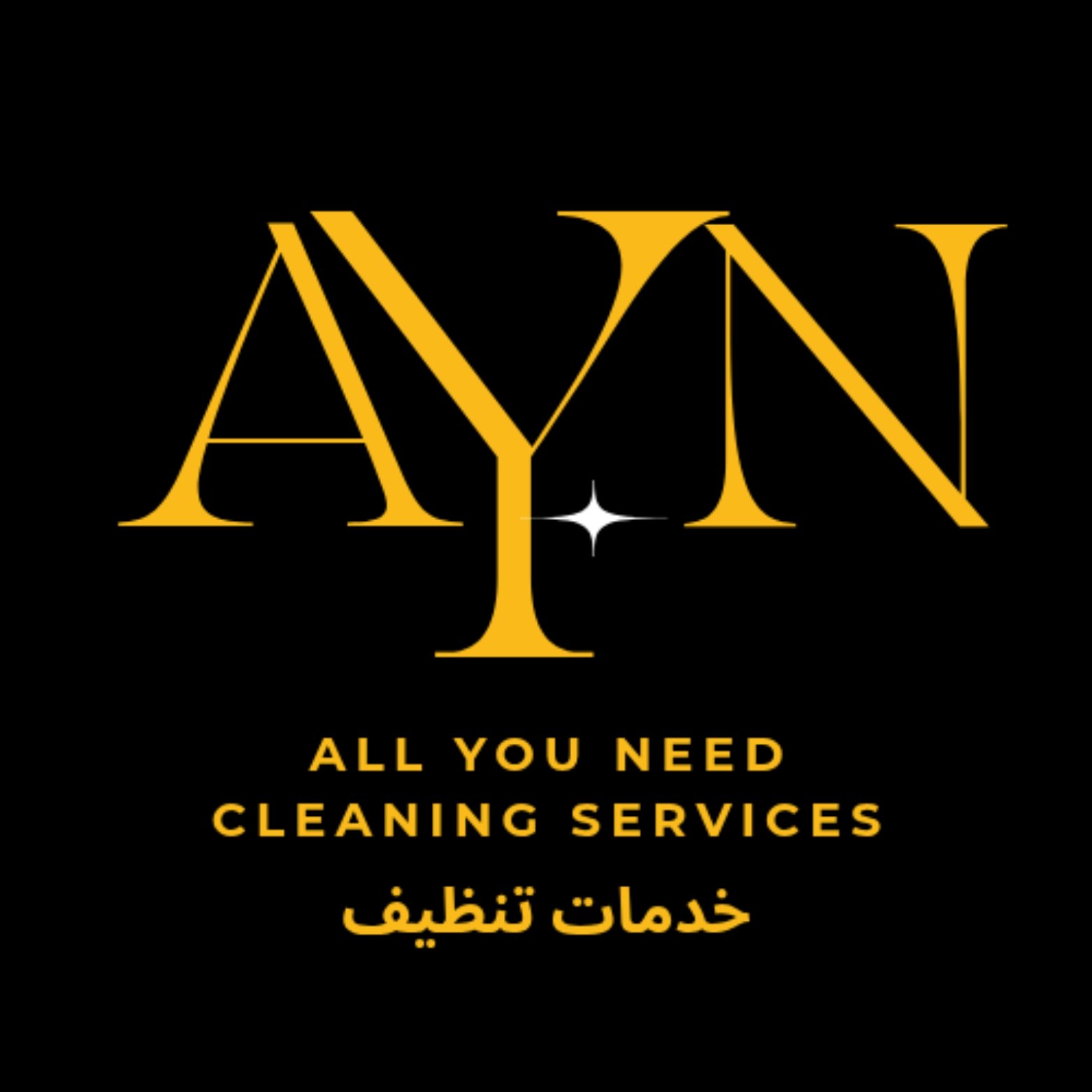 ayncleaning.com